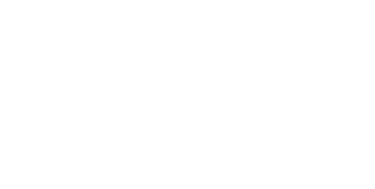 Cinty Photography / Dogs & Horses