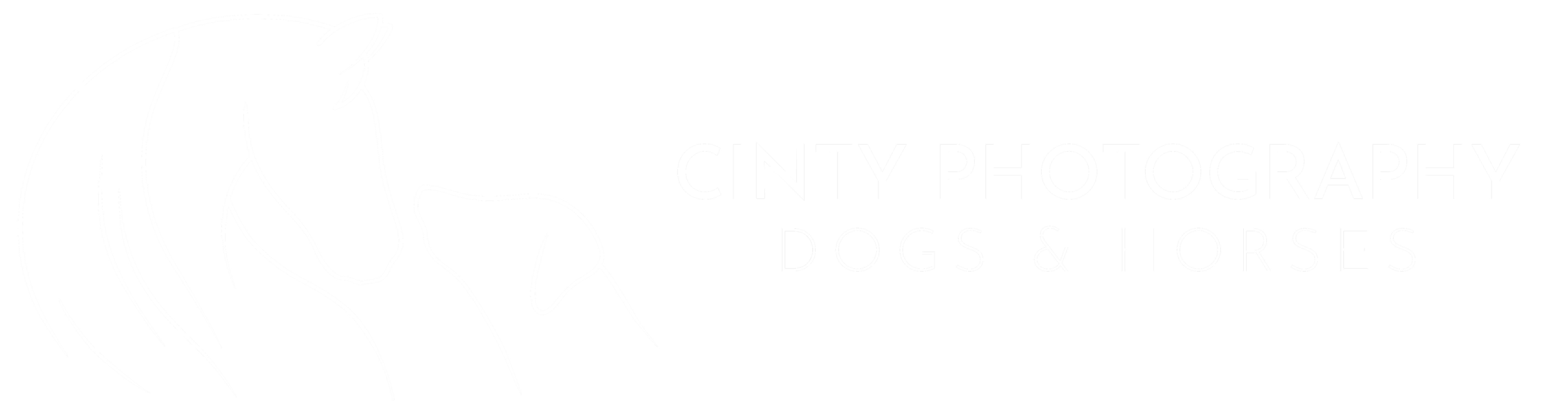 Cinty Photography / Dogs & Horses